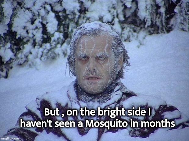 Jack Nicholson The Shining Snow Meme | But , on the bright side I haven't seen a Mosquito in months | image tagged in memes,jack nicholson the shining snow | made w/ Imgflip meme maker