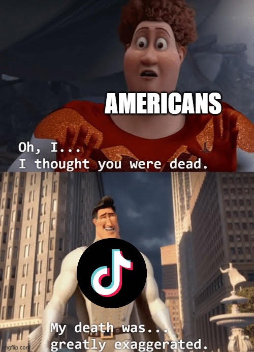 However it's still banned from the App/Play Stores | AMERICANS | image tagged in tiktok ban,tiktok | made w/ Imgflip meme maker