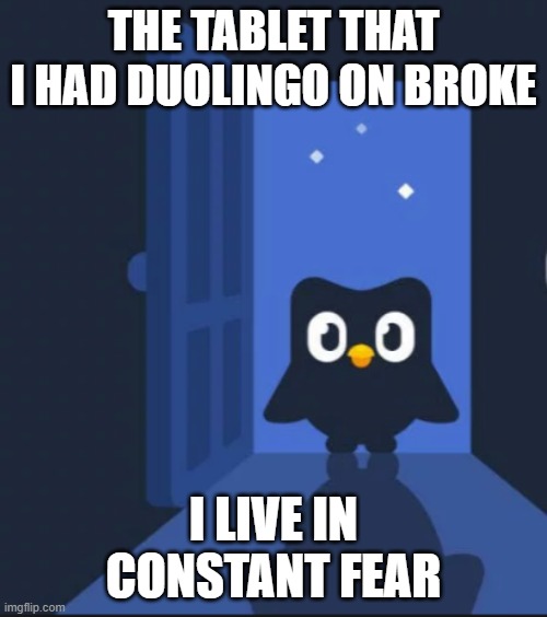 Since owls are nocturnal, I'm especially not safe when I'm asleep | THE TABLET THAT I HAD DUOLINGO ON BROKE; I LIVE IN CONSTANT FEAR | image tagged in duolingo bird,i'm scared,help,duolingo,help me,why do i hear boss music | made w/ Imgflip meme maker