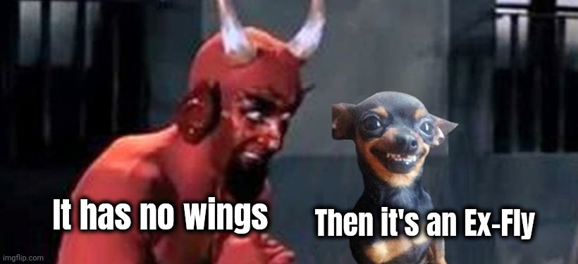 diablo y perro | It has no wings Then it's an Ex-Fly | image tagged in diablo y perro | made w/ Imgflip meme maker