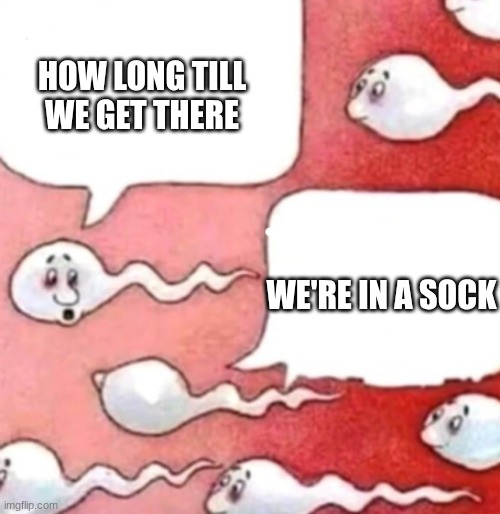 Sperm conversation | HOW LONG TILL WE GET THERE WE'RE IN A SOCK | image tagged in sperm conversation | made w/ Imgflip meme maker