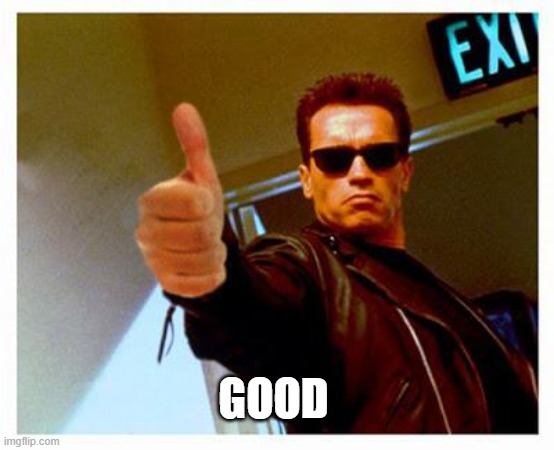 terminator thumbs up | GOOD | image tagged in terminator thumbs up | made w/ Imgflip meme maker