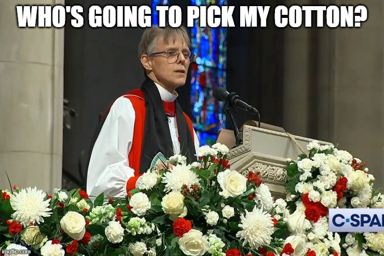 Bishop Budde | WHO'S GOING TO PICK MY COTTON? | image tagged in bishop budde | made w/ Imgflip meme maker