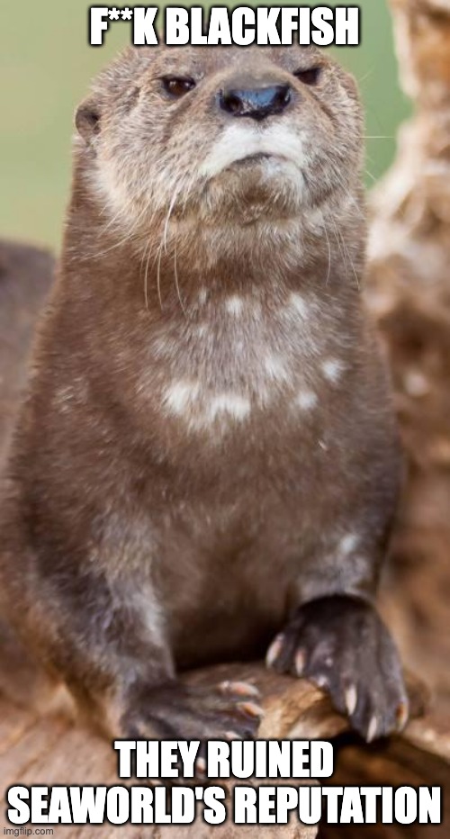 Disapproving Otter | F**K BLACKFISH THEY RUINED SEAWORLD'S REPUTATION | image tagged in disapproving otter | made w/ Imgflip meme maker