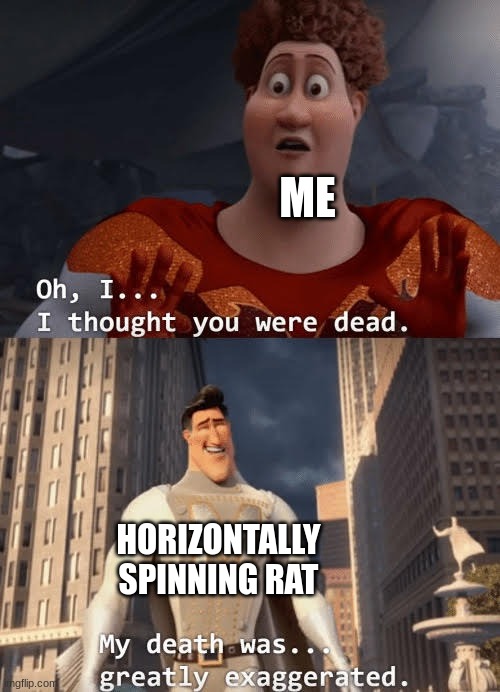 My death was greatly exaggerated | ME HORIZONTALLY SPINNING RAT | image tagged in my death was greatly exaggerated | made w/ Imgflip meme maker