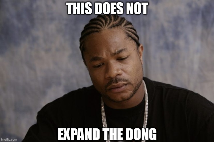 this does not expand the dong | THIS DOES NOT; EXPAND THE DONG | image tagged in sad xzibit,xzibit,expand dong | made w/ Imgflip meme maker