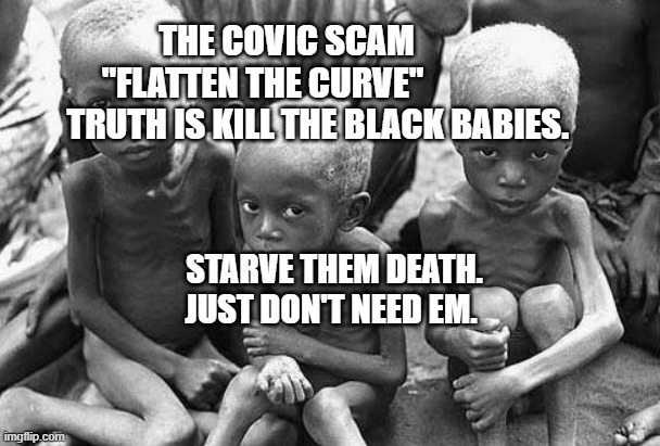 starving africans | THE COVIC SCAM         "FLATTEN THE CURVE"                   TRUTH IS KILL THE BLACK BABIES. STARVE THEM DEATH.  JUST DON'T NEED EM. | image tagged in starving africans | made w/ Imgflip meme maker