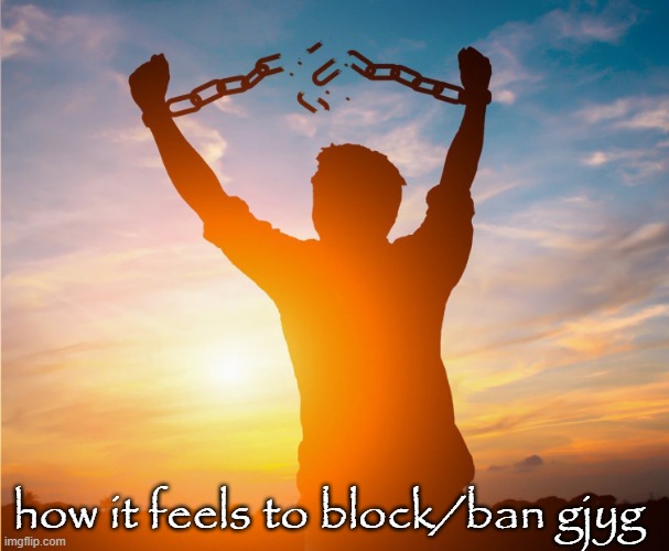 Man breaking free from chains over the sunset | how it feels to block/ban gjyg | image tagged in man breaking free from chains over the sunset | made w/ Imgflip meme maker