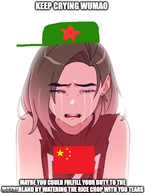 Make Chinese Communist Party simps cry again | KEEP CRYING WUMAO; MAYBE YOU COULD FULFILL YOUR DUTY TO THE MOTHERLAND BY WATERING THE RICE CROP WITH YOU TEARS | image tagged in china,chinese,truth,based | made w/ Imgflip meme maker