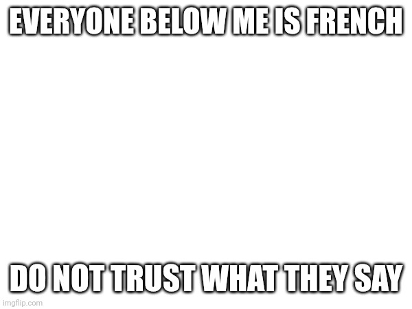 EVERYONE BELOW ME IS FRENCH; DO NOT TRUST WHAT THEY SAY | made w/ Imgflip meme maker