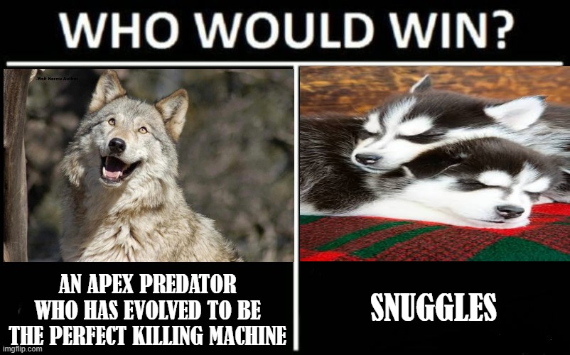 Everday I'm snuggling | SNUGGLES; AN APEX PREDATOR WHO HAS EVOLVED TO BE THE PERFECT KILLING MACHINE | image tagged in who would win dark mode | made w/ Imgflip meme maker