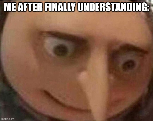 gru meme | ME AFTER FINALLY UNDERSTANDING: | image tagged in gru meme | made w/ Imgflip meme maker