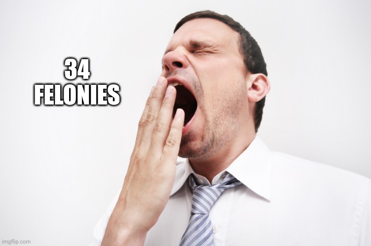 yawn | 34 FELONIES | image tagged in yawn | made w/ Imgflip meme maker