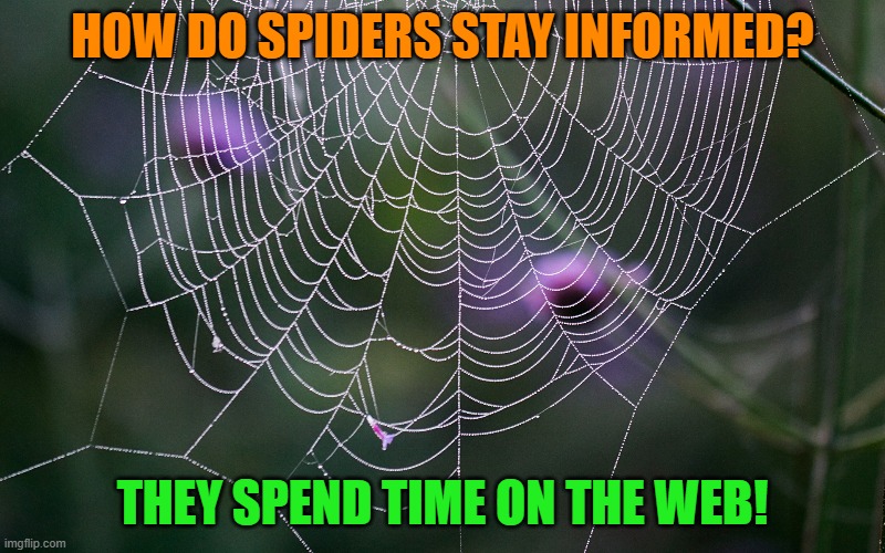 HOW DO SPIDERS STAY INFORMED? THEY SPEND TIME ON THE WEB! | image tagged in humor | made w/ Imgflip meme maker