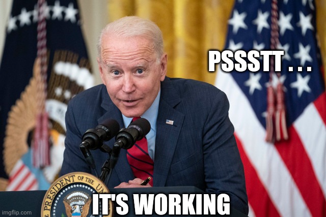 Biden Whisper | PSSSTT . . . IT'S WORKING | image tagged in biden whisper | made w/ Imgflip meme maker