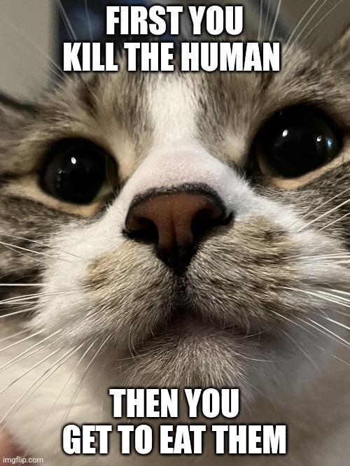 FIRST YOU KILL THE HUMAN; THEN YOU GET TO EAT THEM | made w/ Imgflip meme maker