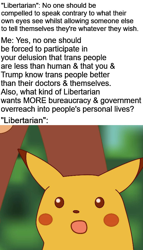 Libertarian my @ss | "Libertarian": No one should be compelled to speak contrary to what their own eyes see whilst allowing someone else to tell themselves they're whatever they wish. Me: Yes, no one should be forced to participate in your delusion that trans people are less than human & that you & Trump know trans people better than their doctors & themselves. Also, what kind of Libertarian wants MORE bureaucracy & government overreach into people's personal lives? "Libertarian": | image tagged in hd pikachu,donald trump,trans,transgender,libertarian,libertarians | made w/ Imgflip meme maker