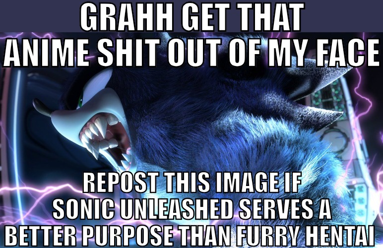 GRAHH GET THAT ANIME SHIT OUT OF MY FACE; REPOST THIS IMAGE IF SONIC UNLEASHED SERVES A BETTER PURPOSE THAN FURRY HENTAI | made w/ Imgflip meme maker