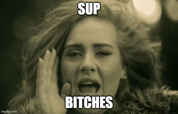 adele hello | SUP; BITCHES | image tagged in adele hello | made w/ Imgflip meme maker