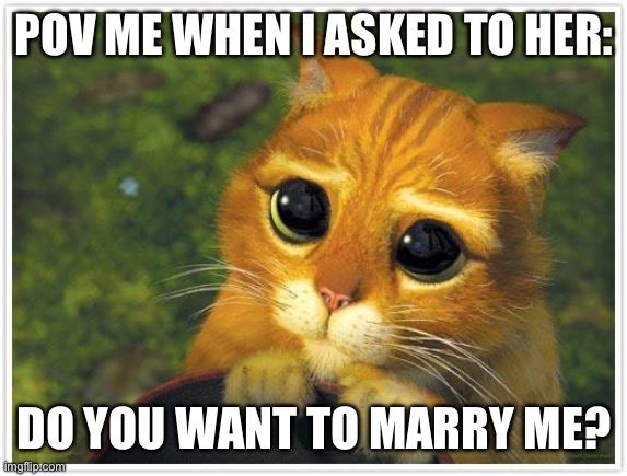 (She said yes don’t worry) | POV ME WHEN I ASKED TO HER:; DO YOU WANT TO MARRY ME? | image tagged in memes,shrek cat,marry | made w/ Imgflip meme maker