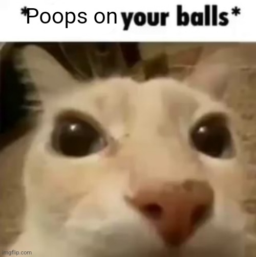 I'm bored idk | Poops on | image tagged in x your balls | made w/ Imgflip meme maker