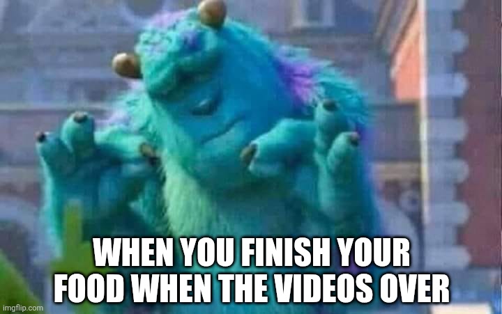 Sully shutdown | WHEN YOU FINISH YOUR FOOD WHEN THE VIDEOS OVER | image tagged in sully shutdown | made w/ Imgflip meme maker