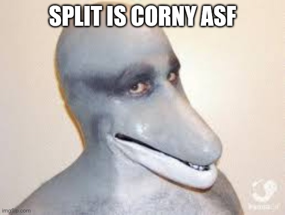 Dolphin Guy | SPLIT IS CORNY ASF | image tagged in dolphin guy | made w/ Imgflip meme maker