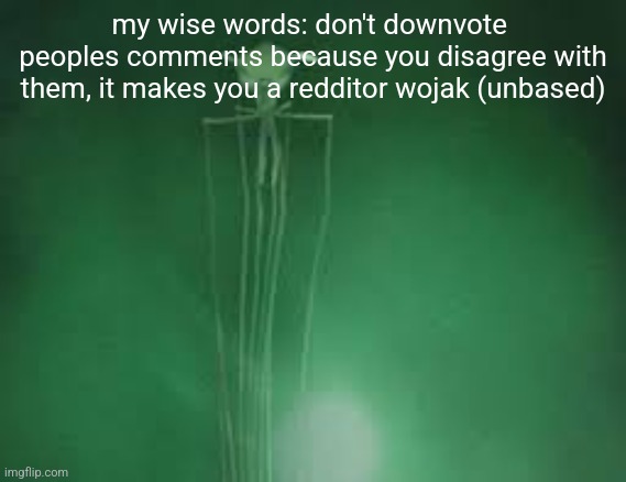 magnapinna squid stare | my wise words: don't downvote  peoples comments because you disagree with them, it makes you a redditor wojak (unbased) | image tagged in magnapinna squid stare | made w/ Imgflip meme maker