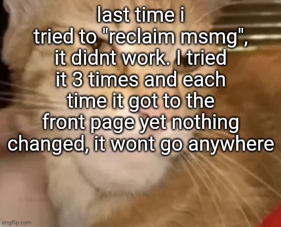 cat mewing | last time i tried to "reclaim msmg", it didnt work. I tried it 3 times and each time it got to the front page yet nothing changed, it wont go anywhere | image tagged in cat mewing | made w/ Imgflip meme maker