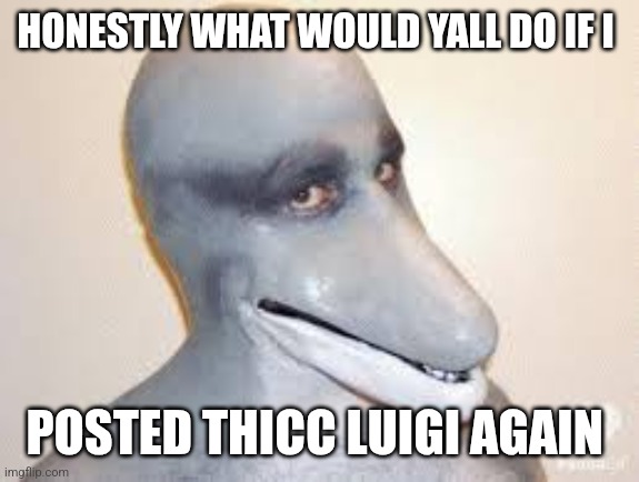 Just wandering | HONESTLY WHAT WOULD YALL DO IF I; POSTED THICC LUIGI AGAIN | image tagged in dolphin guy | made w/ Imgflip meme maker