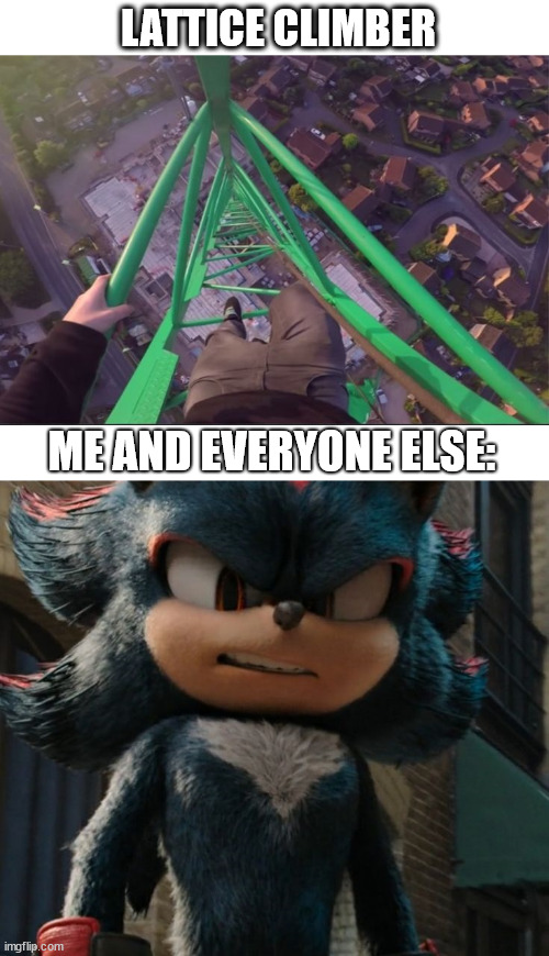 Shadow reaction | LATTICE CLIMBER; ME AND EVERYONE ELSE: | image tagged in lattice climbing,shadow the hedgehog,sonic the hedgehog,climbing,klettern,meme | made w/ Imgflip meme maker