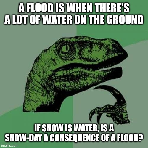 Snow | A FLOOD IS WHEN THERE'S A LOT OF WATER ON THE GROUND; IF SNOW IS WATER, IS A SNOW-DAY A CONSEQUENCE OF A FLOOD? | image tagged in philosoraptor,snow,water,flood,winter,weather | made w/ Imgflip meme maker