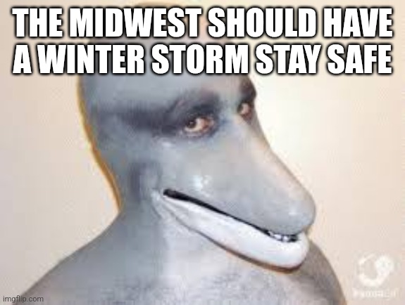 Probably in 5 or 7 days | THE MIDWEST SHOULD HAVE A WINTER STORM STAY SAFE | image tagged in dolphin guy | made w/ Imgflip meme maker