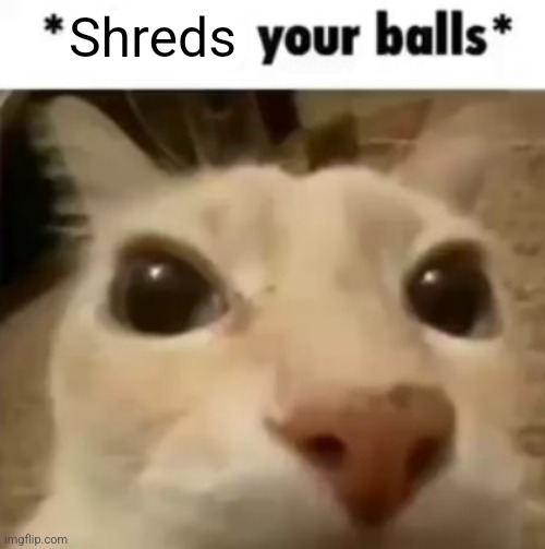 X your balls | Shreds | image tagged in x your balls | made w/ Imgflip meme maker