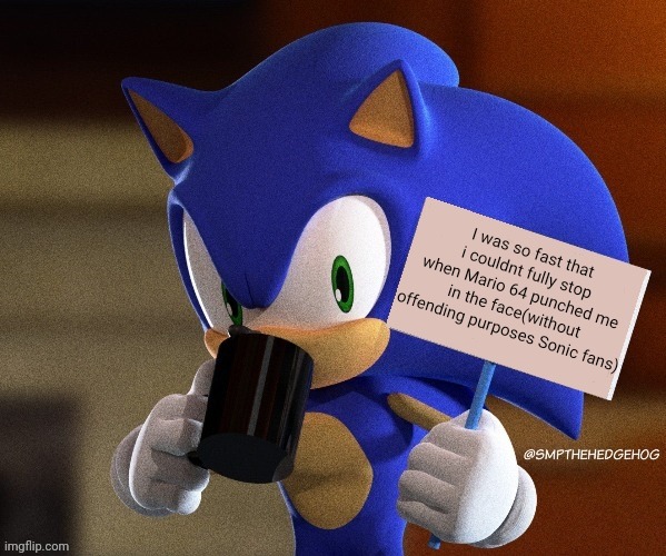 Sonic Sign | I was so fast that i couldnt fully stop when Mario 64 punched me in the face(without offending purposes Sonic fans) | image tagged in sonic sign,mario,sign | made w/ Imgflip meme maker