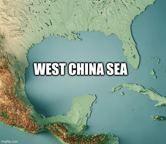 Gulf of What? | WEST CHINA SEA | image tagged in gulf of what | made w/ Imgflip meme maker