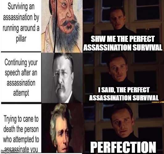 Assassinations | SHW ME THE PERFECT ASSASSINATION SURVIVAL; I SAID, THE PERFECT ASSASSINATION SURVIVAL; PERFECTION | image tagged in perfection | made w/ Imgflip meme maker