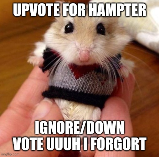 Hampster in sweater | UPVOTE FOR HAMPTER; IGNORE/DOWN VOTE UUUH I FORGORT | image tagged in hampster in sweater | made w/ Imgflip meme maker