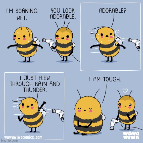 Toughness | image tagged in wet,comics,comics/cartoons,bug,bugs,hair dryer | made w/ Imgflip meme maker