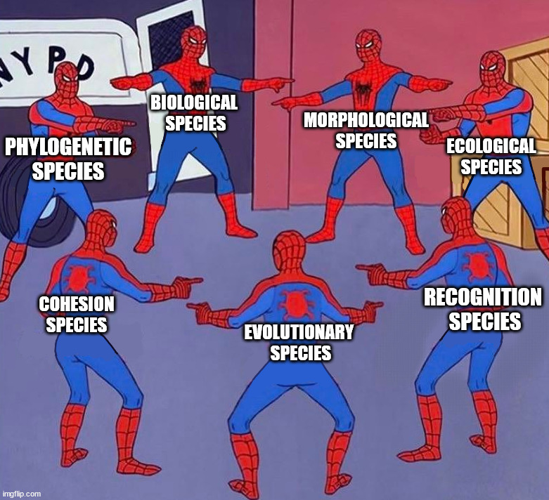 SpidermenSpeciesConcepts | BIOLOGICAL 
SPECIES; MORPHOLOGICAL
SPECIES; ECOLOGICAL
SPECIES; PHYLOGENETIC
SPECIES; RECOGNITION 
SPECIES; COHESION
SPECIES; EVOLUTIONARY 
SPECIES | image tagged in 8 spidermen pointing | made w/ Imgflip meme maker