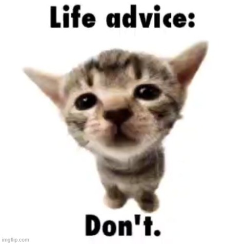 Life advice: Don't | image tagged in life advice don't | made w/ Imgflip meme maker