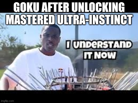 He truly understood it now | GOKU AFTER UNLOCKING MASTERED ULTRA-INSTINCT | image tagged in real,mahoraga | made w/ Imgflip meme maker