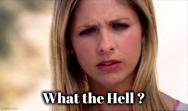 Buffy The Vampire Slayer WTF | What the Hell ? | image tagged in buffy the vampire slayer wtf | made w/ Imgflip meme maker