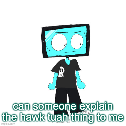 IcyXD concerned | can someone explain the hawk tuah thing to me | image tagged in icyxd concerned | made w/ Imgflip meme maker