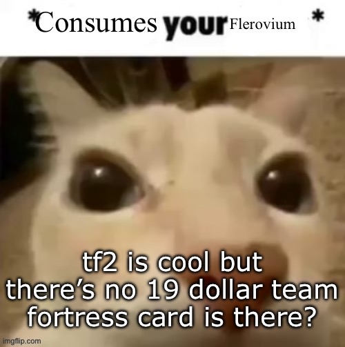 Yakko consumes your flerovium | tf2 is cool but there’s no 19 dollar team fortress card is there? | image tagged in yakko consumes your flerovium | made w/ Imgflip meme maker