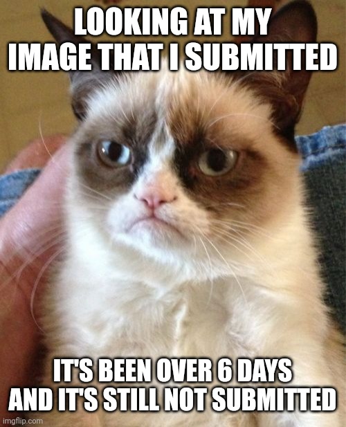 You expect that if y'all automated if we're living in this 1600s | LOOKING AT MY IMAGE THAT I SUBMITTED; IT'S BEEN OVER 6 DAYS AND IT'S STILL NOT SUBMITTED | image tagged in memes,grumpy cat | made w/ Imgflip meme maker