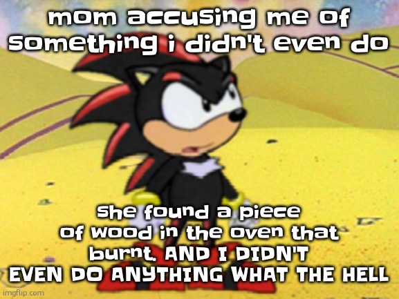 Adventures of shadow the hedgehog | mom accusing me of something i didn't even do; she found a piece of wood in the oven that burnt. AND I DIDN'T EVEN DO ANYTHING WHAT THE HELL | image tagged in adventures of shadow the hedgehog | made w/ Imgflip meme maker