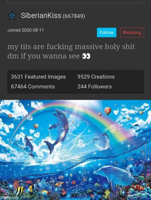 just block them it aint that big of a deal | image tagged in happy dolphin rainbow | made w/ Imgflip meme maker