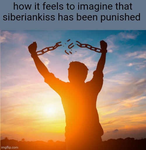 no more | how it feels to imagine that siberiankiss has been punished | image tagged in man breaking free from chains over the sunset | made w/ Imgflip meme maker