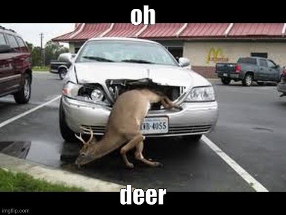 Oh dear! | oh deer | image tagged in oh dear | made w/ Imgflip meme maker
